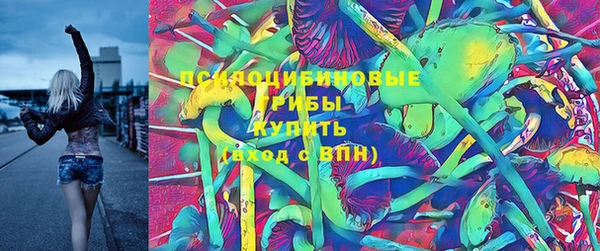 прущий лед Осташков